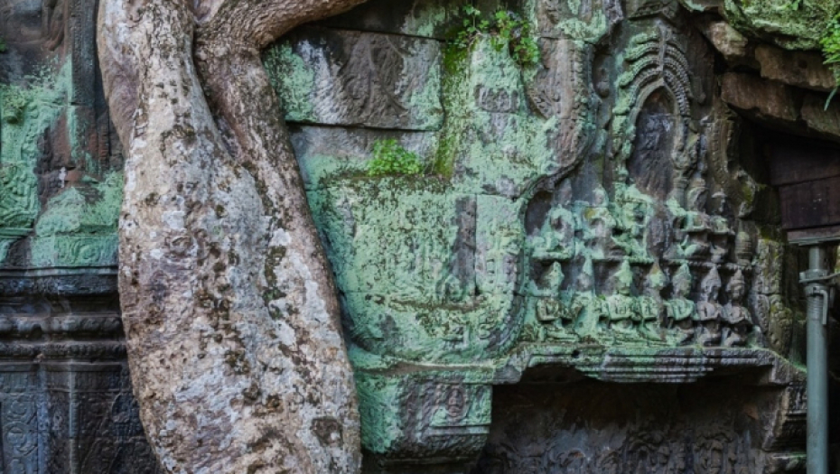 Ta Prom, Kambodža, napušteni grad, istorija