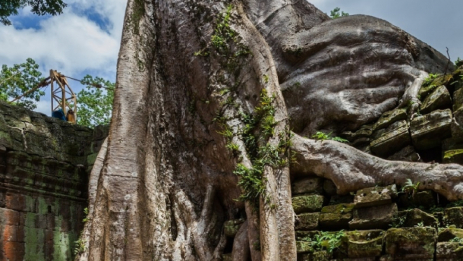 Ta Prom, Kambodža, napušteni grad, istorija
