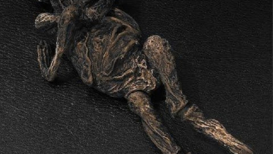 aljošenko, vanzemaljac