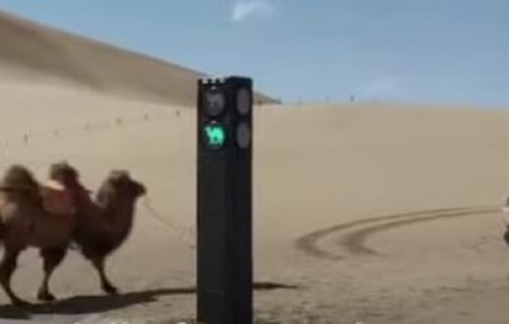 semafor, kina, semafor za kamile