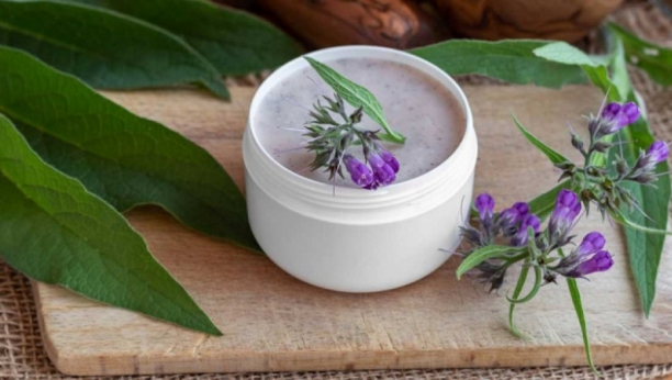 DA LI STE ČULI ZA GAVEZ? Ova biljka je neverovatno lekovita! Evo kako se pravilno koristi!