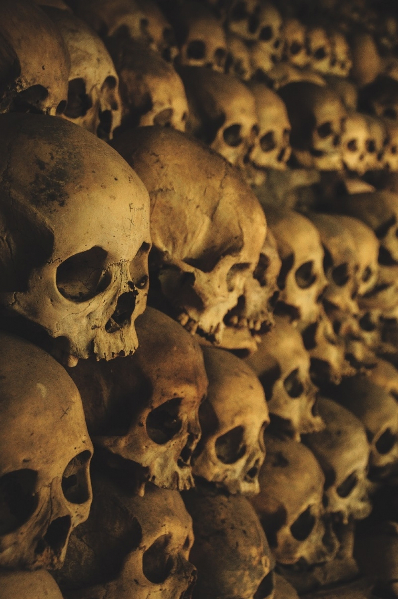 kabjan, kosturi, skeleti, lobanje