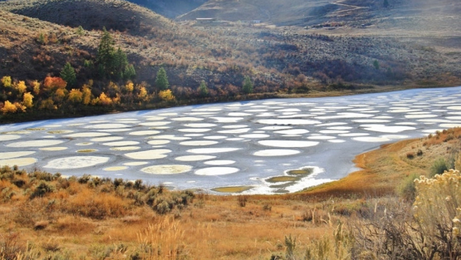 jezero, Spotted Lake, priroda