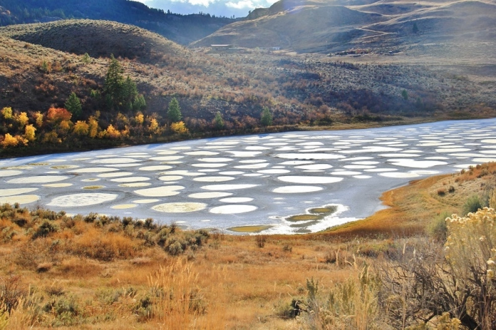 jezero, Spotted Lake, priroda