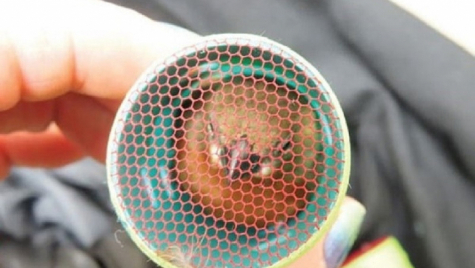 krijumčarenje, ptice