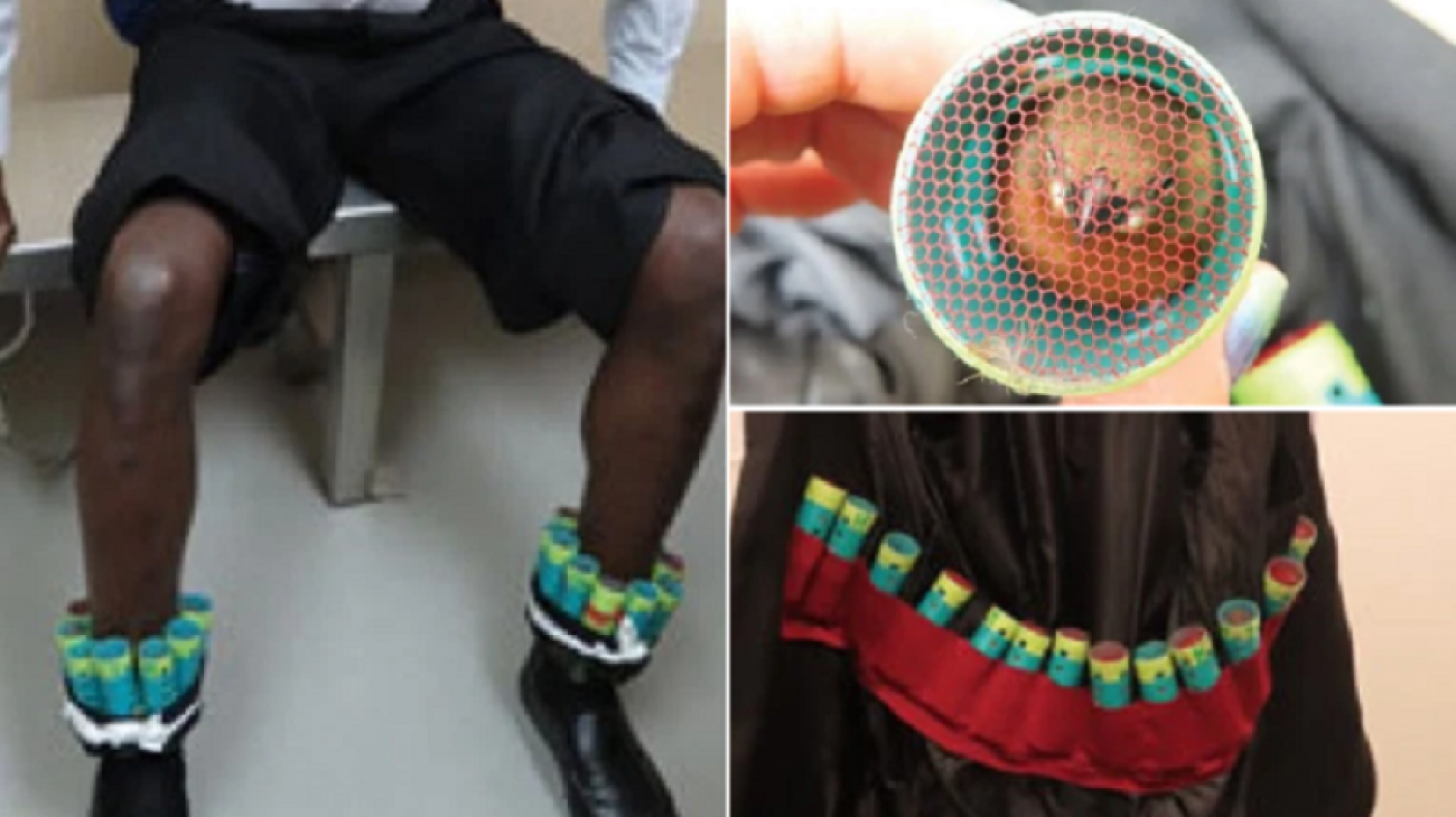 krijumčarenje, ptice