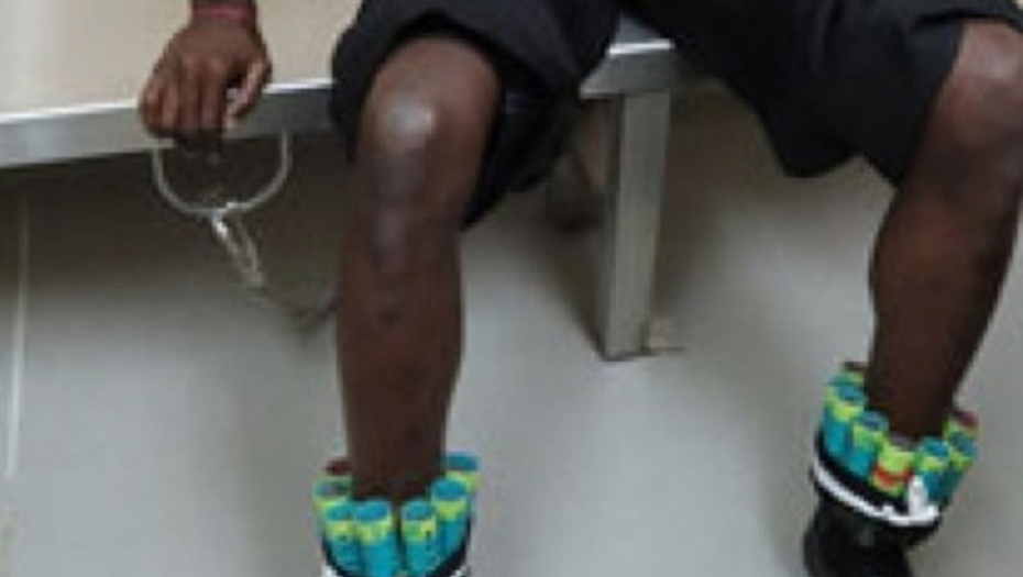 krijumčarenje, ptice