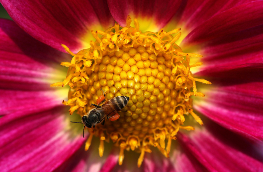 Beograđani uznemireni: Ne brinite OVO nije korona!