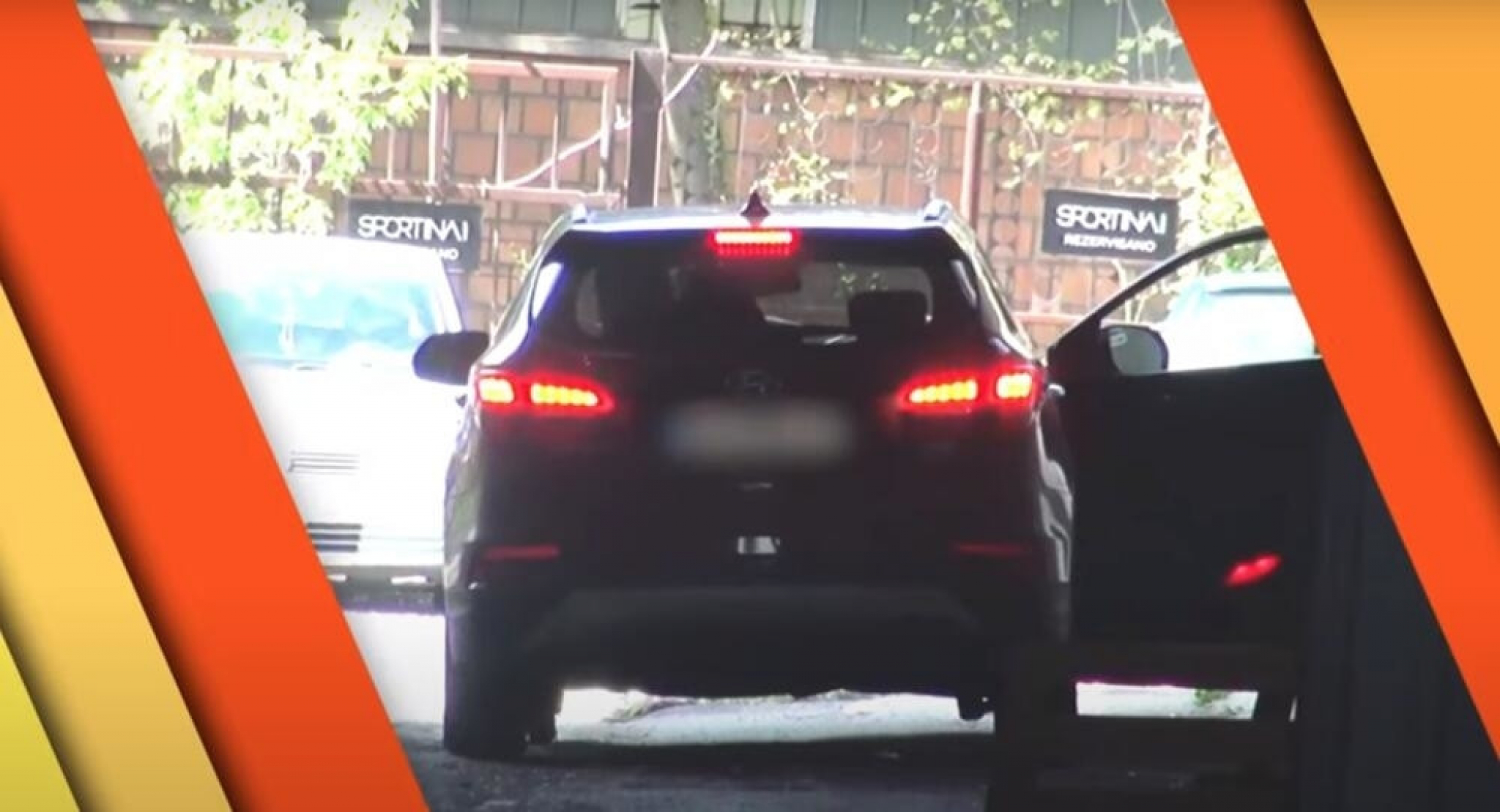 Đole Đogani u kolima