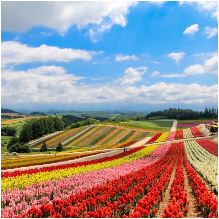 VELIKI MESEČNI HOROSKOP ZA MAJ Blizancima se smeši dobitak, Biku naporan rad, Ovna će skupo stajati pogrešna procena