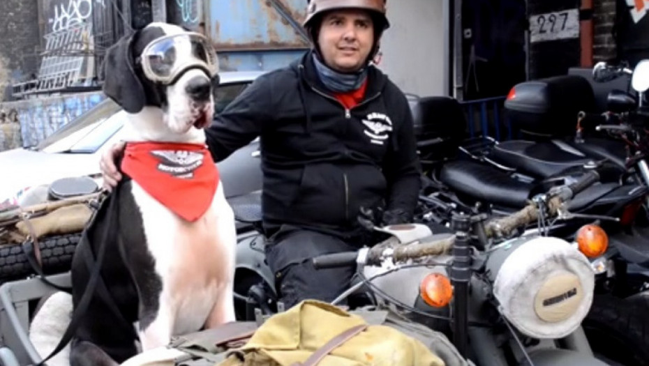 Upoznajte psa koja voli više od ičega da se vozi uokolo u motornoj prikolici (VIDEO)