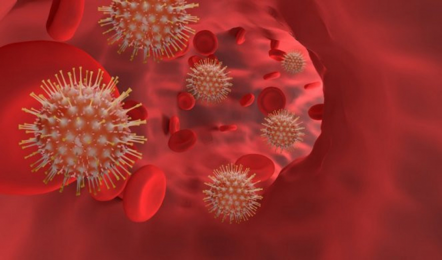 Poreklo korone leži u rudniku - Ključno je zaražavanje rudara 2012. godine?!