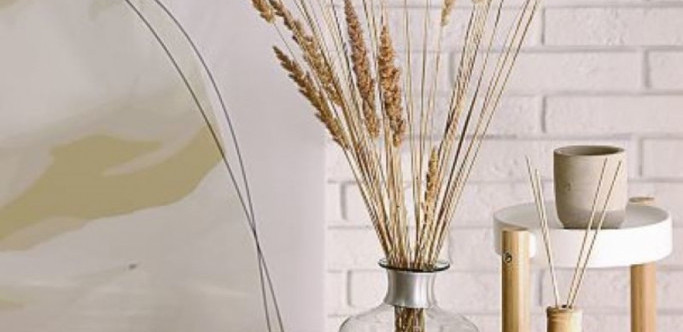 PRATITE TRENDOVE: Suva pampas trava, svetski hit za dekoraciju doma