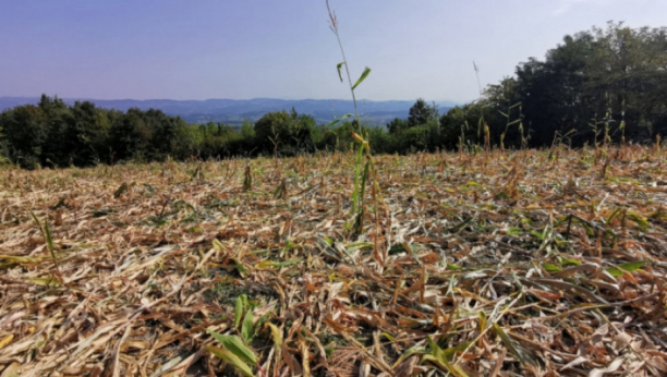 VELIKA SUŠA PRETI EVROPI Evo šta za Srbiju kaže alarmantni izveštaj programa za nadgledanje vremenskih uslova