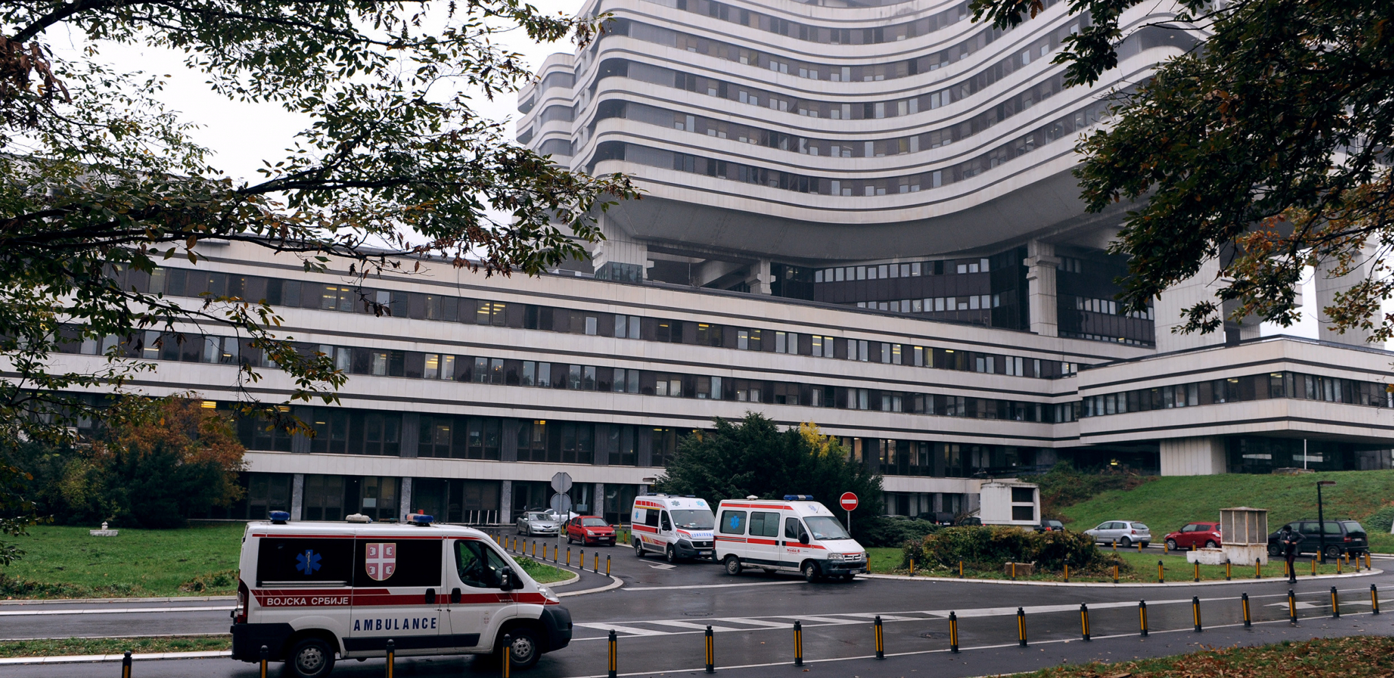 ISPOVEST PRIJATELJA ŠAPČANKE (57) KOJA JE OTROVANA PEČURKAMA Pobedila je rak ali je izgubila ovu bitku!