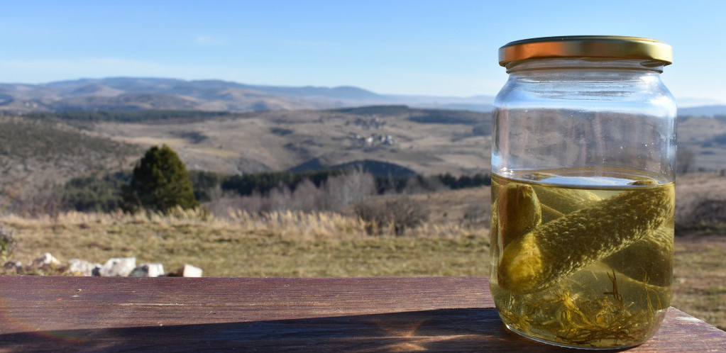 Pravite veliku grešku ako je bacate: Voda iz kiselih krastavaca ima široku upotrebu
