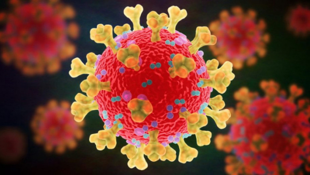 SVET U PANICI Otkriven novi soj korone virusa, koji bi mogao biti njopasniji do sada