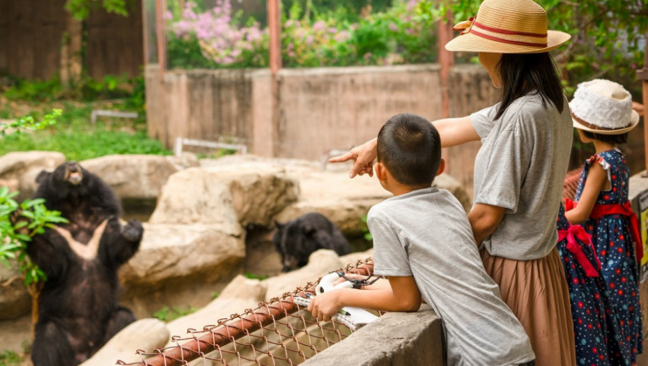 MASTURBACIJA DELFINA ILI KRVOŽEDNI MAJMUNI: Zaposleni dele mračne tajne zooloških vrtova!