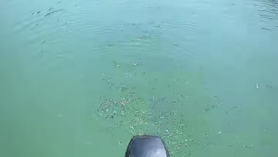 Luksuzna kuća na jezeru u Bajinoj Bašti