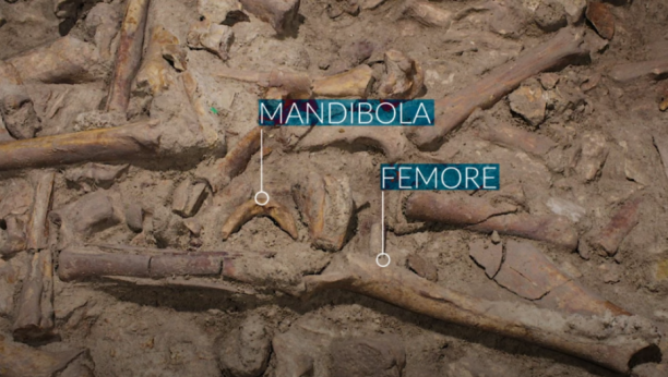 OVO MENJA ISTORIJU: U italijanskoj pećini pronađeni ostaci devet neandertalaca koje su pojele hijene!