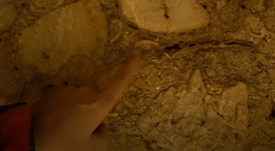 OVO MENJA ISTORIJU: U italijanskoj pećini pronađeni ostaci devet neandertalaca koje su pojele hijene!