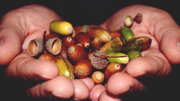 KAFA OD ŽIRA: Poboljšava krvnu sliku i leči štitnu žlezdu