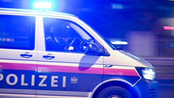 "NA RADU" U AUSTRIJI Državljani Srbije glavni strani kriminalci u Beču