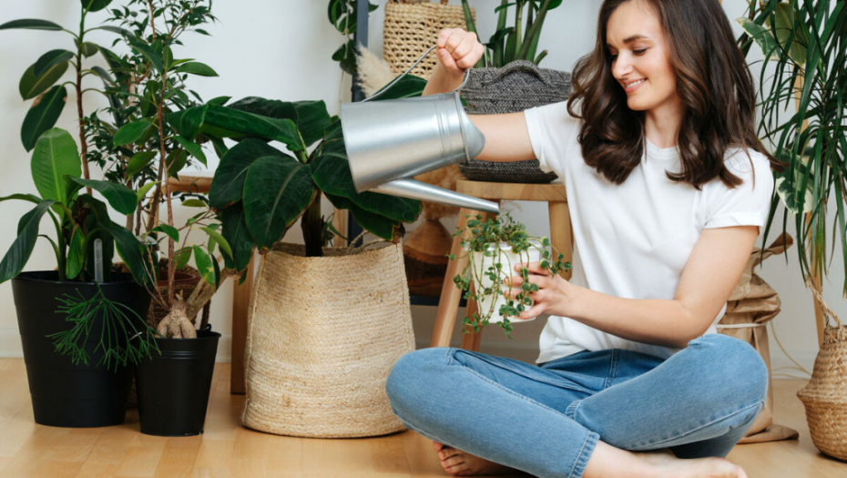 Nisu samo za dekoraciju: Pet biljaka koje privlače zdravlje u dom