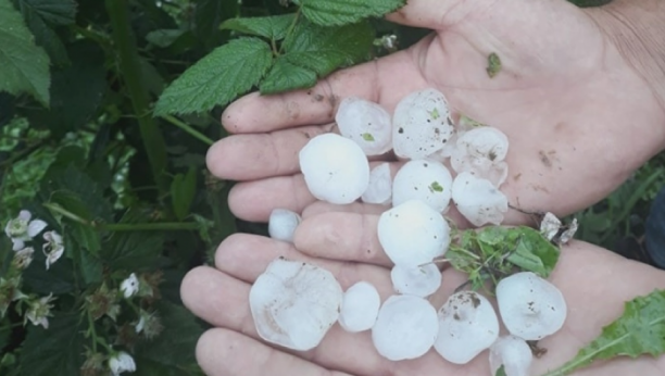 JAK GRAD NAPRAVIO VELIKU ŠTETU U selu kod Čačka nepogoda razorila stabla jabuke, kruške i šljive
