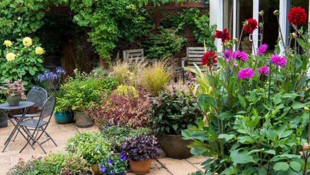 Bira se najlepša cvetna aleja Zemuna u 2021. godini: Konkurs otvoren do 17. juna