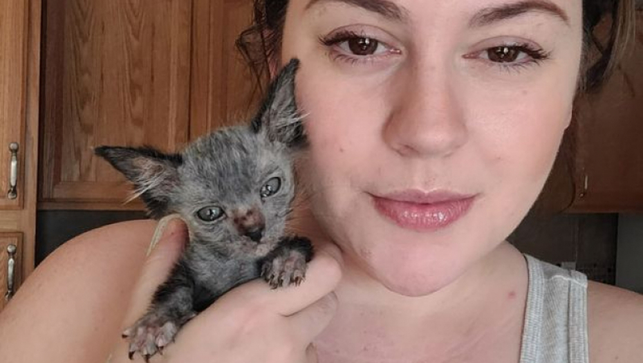 Mače za koje su mislili da je "bolesno" ispostavilo se da je neverovatno retka vrsta! (VIDEO)