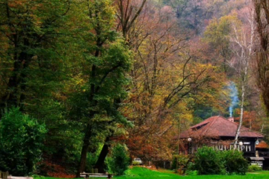 Mirović: Rekonstruisali smo više od 50 kilometara lokalnih puteva na Fruškoj gori