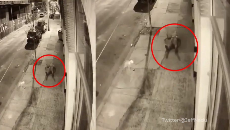 NASLONIO MU JE PIŠTOLJ NA GRUDI, PA POVUKAO OROZ Pušten je snimak ubistva Srbina Milana u Filadelfiji (VIDEO)