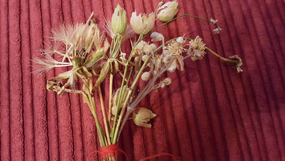 SAMO JEDAN CVET DOVOLJAN JE DA PRIVUČE SREĆU: Napravite amajliju i gledajte kako vam se želje ostvaruju