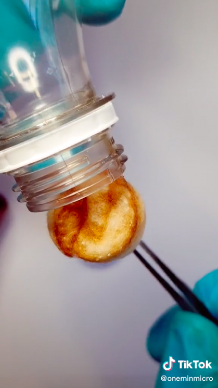 I JEDNA CIGARETA NAM MNOGO ŠTETI Tiktoker je pokazao zastrašujuću istinu pod mikroskopom! (VIDEO)