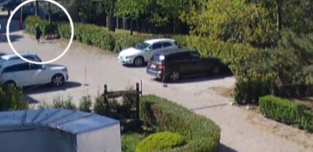 UZNEMIRUJUĆE Žene sa luksuznim automobilima ukrale ukrasne saksije sa privatnog parkinga! Cena jedne je izuzetno velika