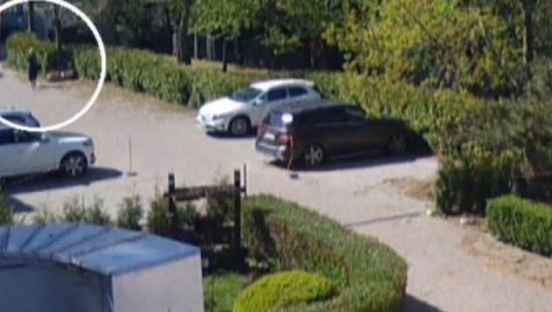 UZNEMIRUJUĆE Žene sa luksuznim automobilima ukrale ukrasne saksije sa privatnog parkinga! Cena jedne je izuzetno velika