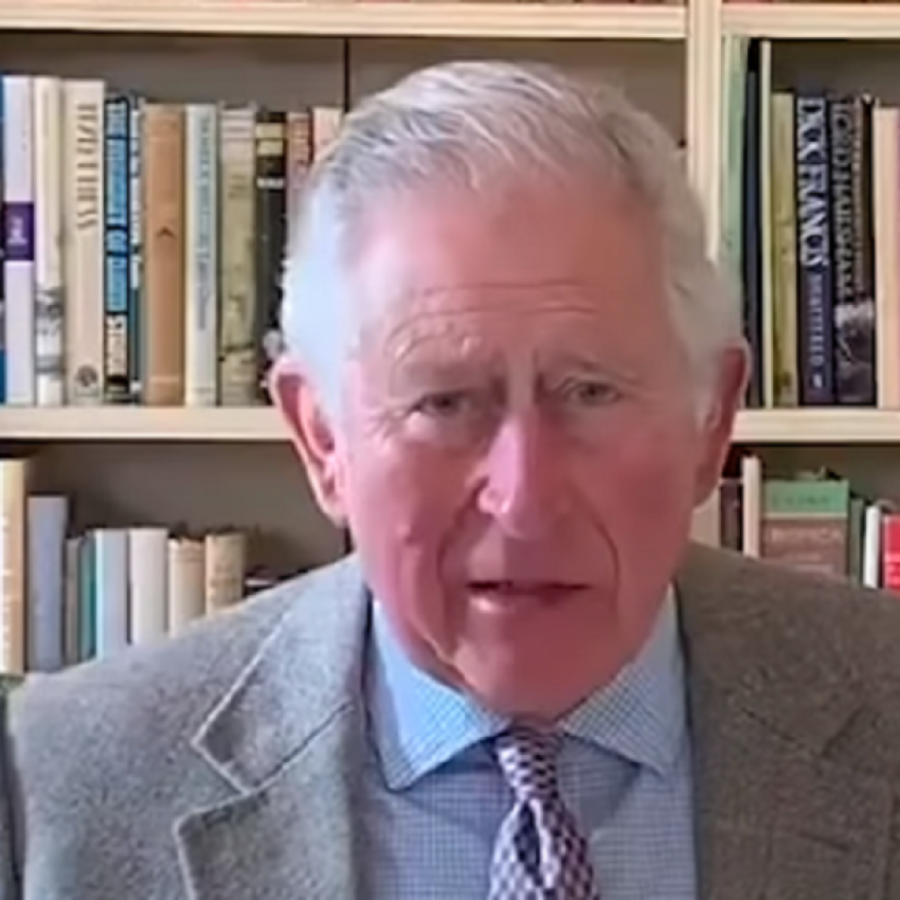 MISTERIJA DUGA TRI DECENIJE! Princeza Dajana je znala da princ Čarls planira automobilsku nesreću, a razlog je bila skandalozna afera sa ovom ženom!