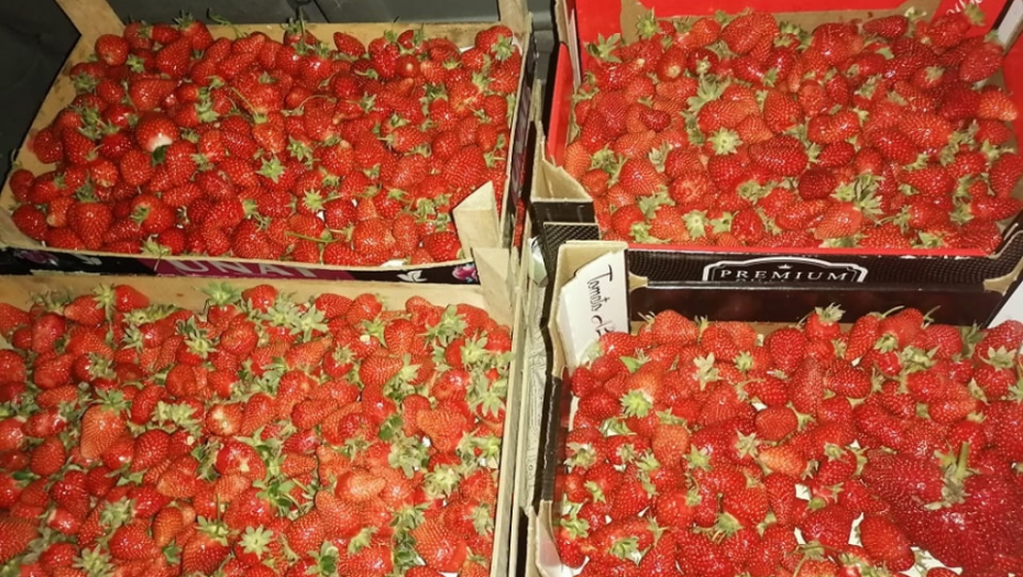 KRALJ MARKETINGA SA ZELENE PIJACE Zbog natpisa na jagodama, svet saleće njegovu tezgu