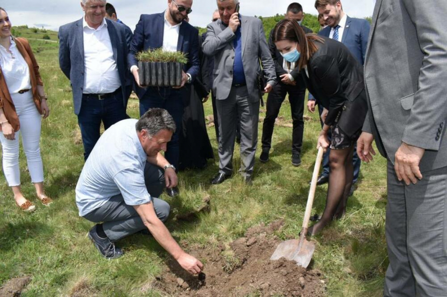 PRELEPA VEST ZA NOVOPAZARCE: Grad na jugu Srbije će biti bogatiji za 40.000 novih sadnica!