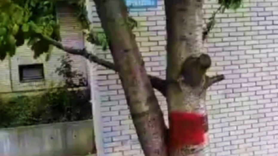 BEOGRAĐANI U PANICI: Ko je ovo uradio?