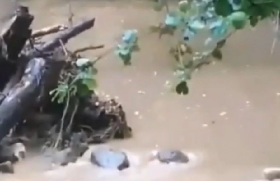 POTOP Žestoko nevreme protutnjalo Srbijom! (FOTO)