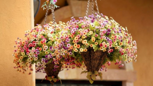 Ukrasite dom, terasu sa VISEĆIM SAKSIJAMA: Evo kako da ih sami napravite!