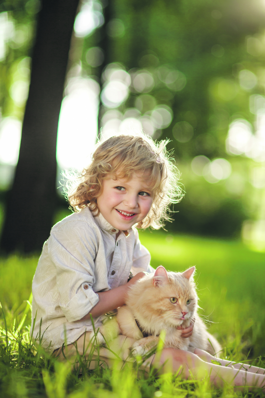 UVEK SVOJA Ako ste odlučili da u svoj dom dovedete macu, nemojte da očekujete da vam bude veran prijatelj poput psa