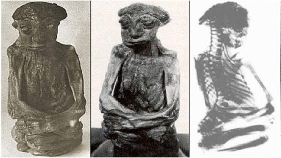 Tajanstvena planinska mumija po nazivu Pedro, čudnog oblika i bez mozda, nestala je bez traga
