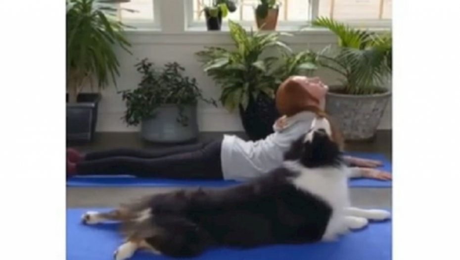 VIDEO KOJI ĆE VAS ODUŠEVITI Ovako jedan pas trenira zajedno sa vlasnicom