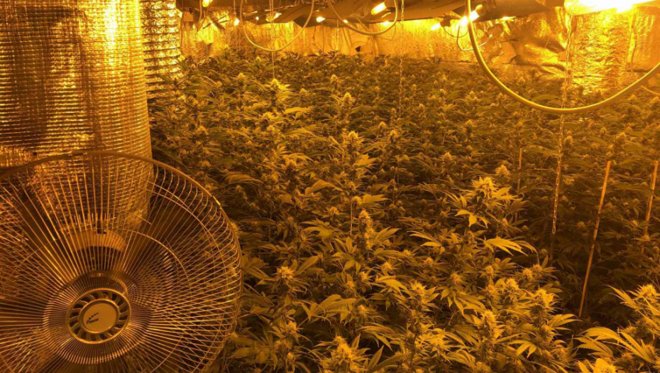 VELIKA AKCIJA U TOPOLI! Policajci upali u kuću, zbog onoga što su pronašli morali su da oblače specijalna odela!