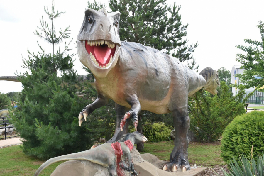 NEKE STVARI SE DOVODE U PITANJE Više od pola amerikanaca sa sigurnošću tvrdi da dinosaurusi i dalje nastanjuju našu planetu!