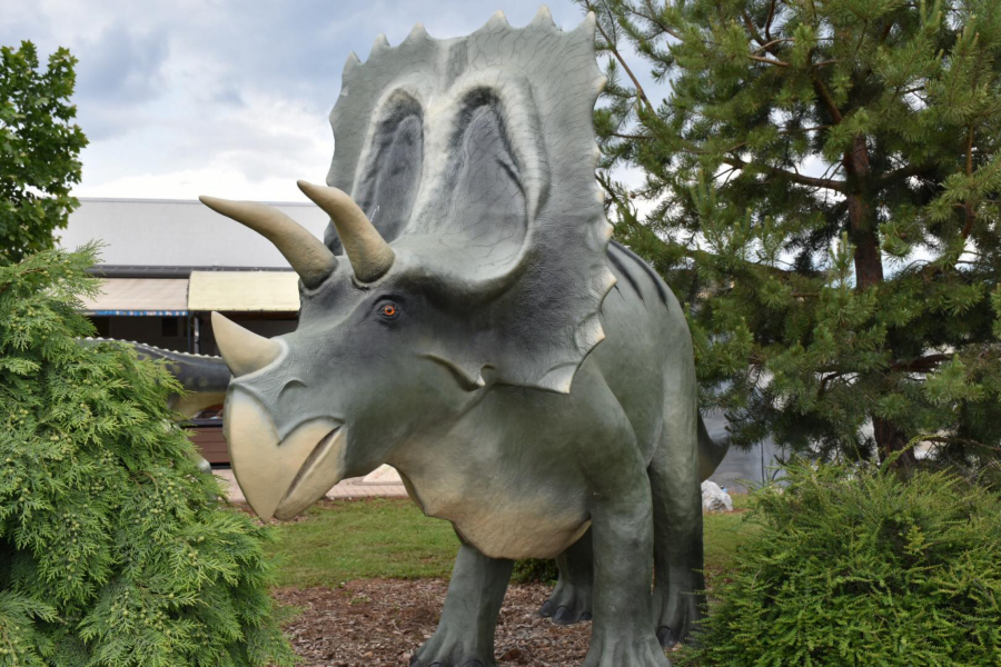 NEKE STVARI SE DOVODE U PITANJE Više od pola amerikanaca sa sigurnošću tvrdi da dinosaurusi i dalje nastanjuju našu planetu!