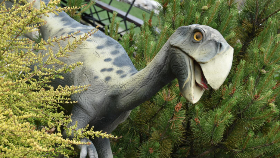 NEKE STVARI SE DOVODE U PITANJE Više od pola amerikanaca sa sigurnošću tvrdi da dinosaurusi i dalje nastanjuju našu planetu!